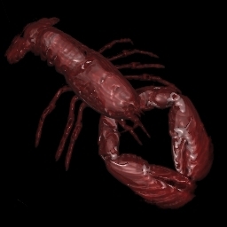 lobster.jpg